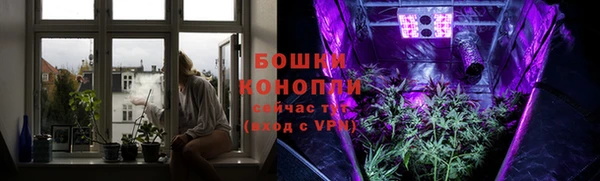 гашик Протвино