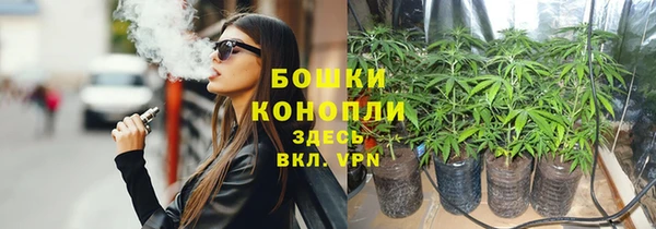 ALPHA PVP Пролетарск