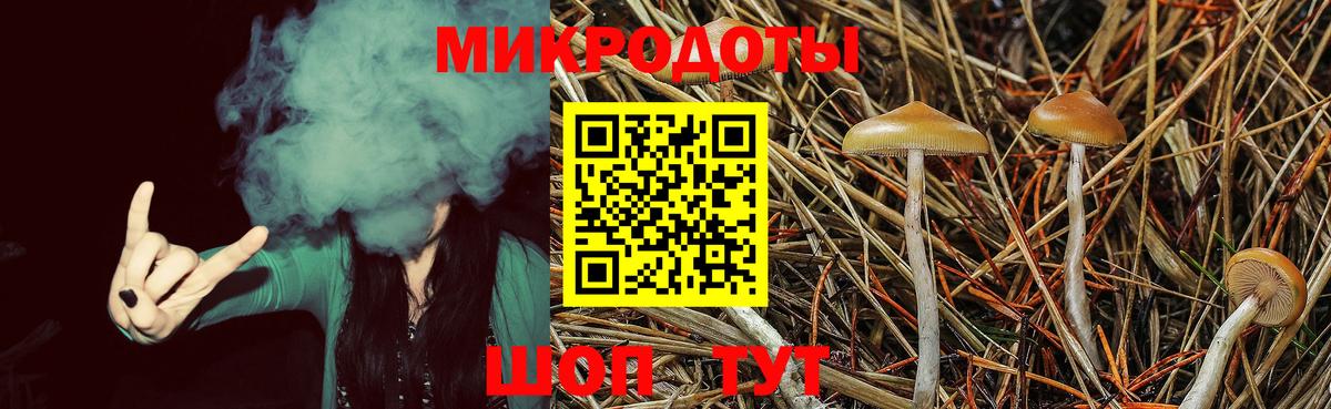 Чистополь  Псилоцибиновые грибы мухоморы  Вход с VPN 